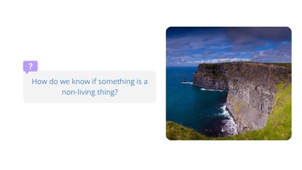 Non-living Things Education Presentation — slide 4