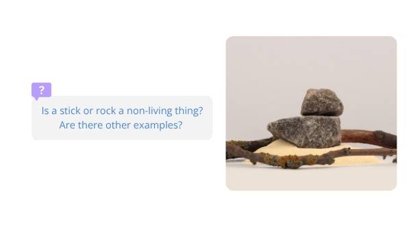 Non-living Things Education Presentation — slide 5