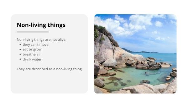 Non-living Things Education Presentation — slide 6