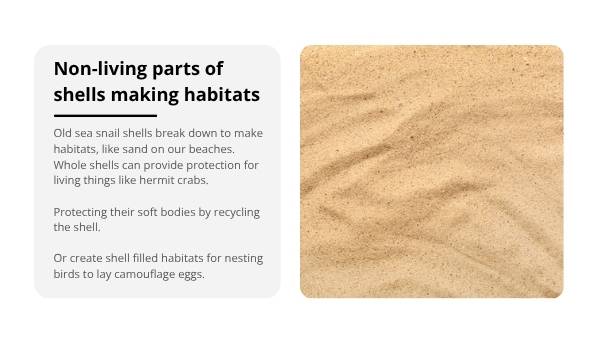 Non-living Things Education Presentation — slide 9