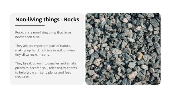 Non-living Things Education Presentation — slide 10