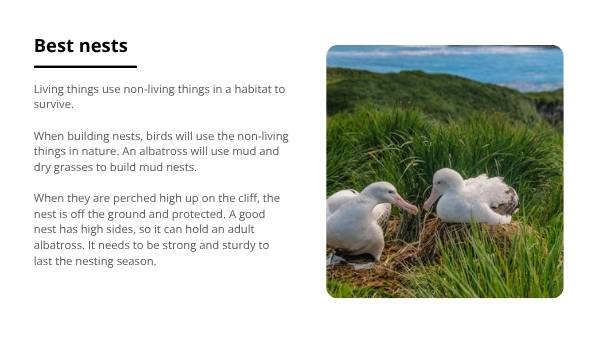 Non-living Things Education Presentation — slide 11