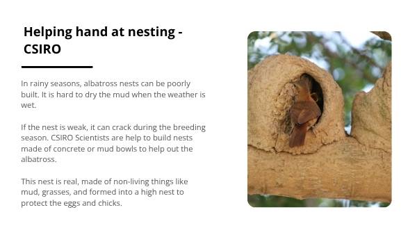 Non-living Things Education Presentation — slide 12