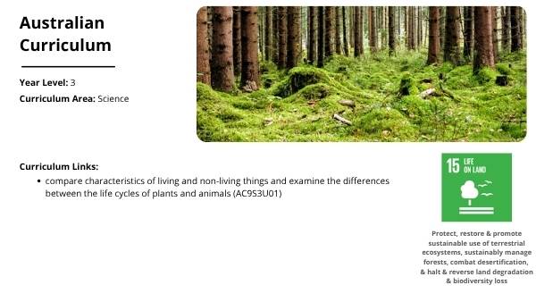 Lifecycles of Animals Education Presentation — slide 2