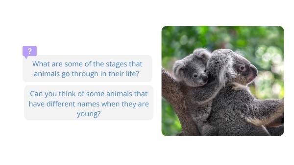 Lifecycles of Animals Education Presentation — slide 3