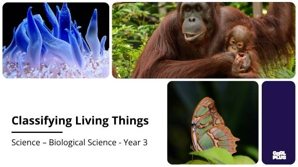 Classifying Living Things and Lifecycles Education Presentation — slide 1
