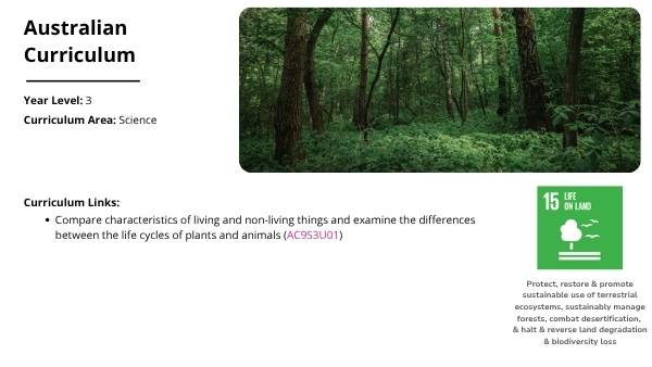 Classifying Living Things and Lifecycles Education Presentation — slide 2