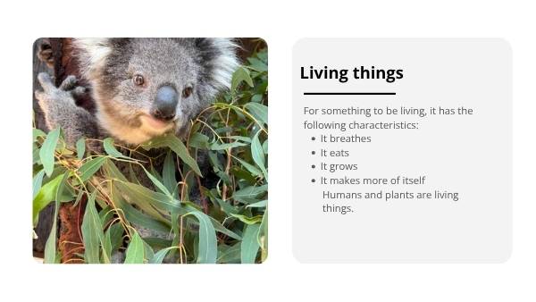 Classifying Living Things and Lifecycles Education Presentation — slide 3