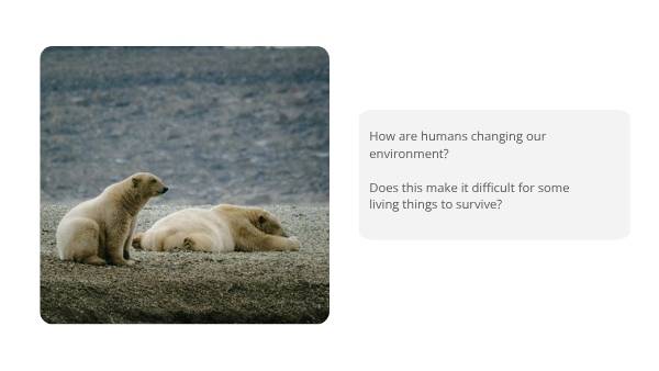 Classifying Living Things and Lifecycles Education Presentation — slide 6