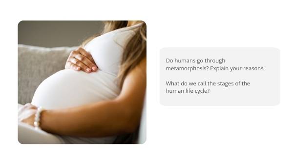 Classifying Living Things and Lifecycles Education Presentation — slide 11