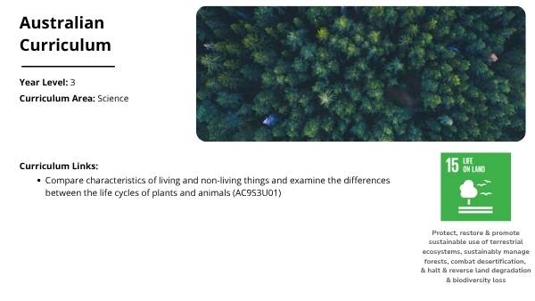 Living and Non-living Things Education Presentation — slide 2