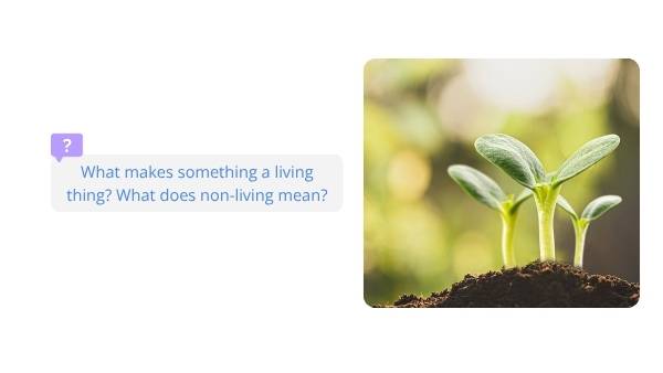 Living and Non-living Things Education Presentation — slide 4