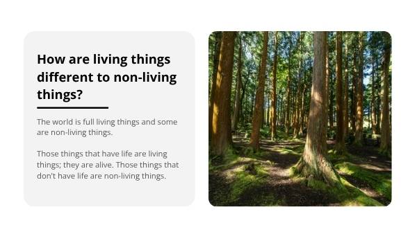 Living and Non-living Things Education Presentation — slide 5