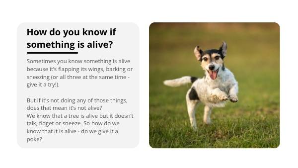 Living and Non-living Things Education Presentation — slide 6