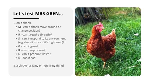 Living and Non-living Things Education Presentation — slide 11