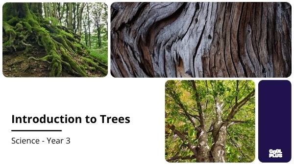 Introduction to Trees Education Presentation — slide 1
