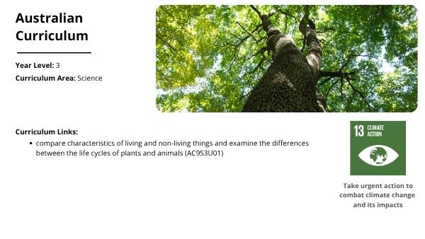 Introduction to Trees Education Presentation — slide 2