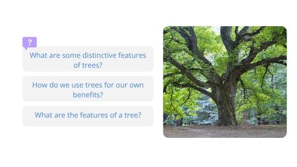 Introduction to Trees Education Presentation — slide 3