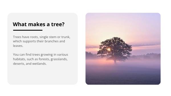 Introduction to Trees Education Presentation — slide 4
