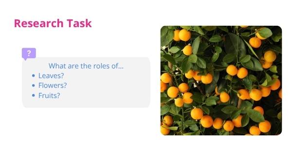 Introduction to Trees Education Presentation — slide 8