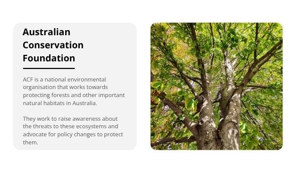 Introduction to Trees Education Presentation — slide 11