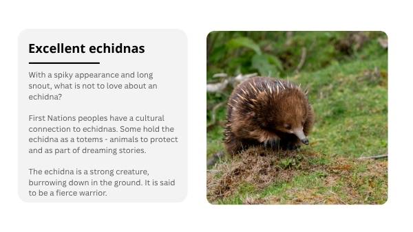 Lifecycles of Monotremes Education Presentation — slide 5