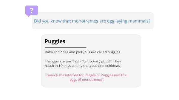 Lifecycles of Monotremes Education Presentation — slide 11