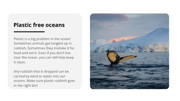 Lifecycles of Penguins Education Presentation — slide 12