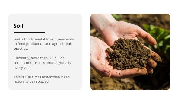 Soil Our Survival Depends On It Presentation — slide 4