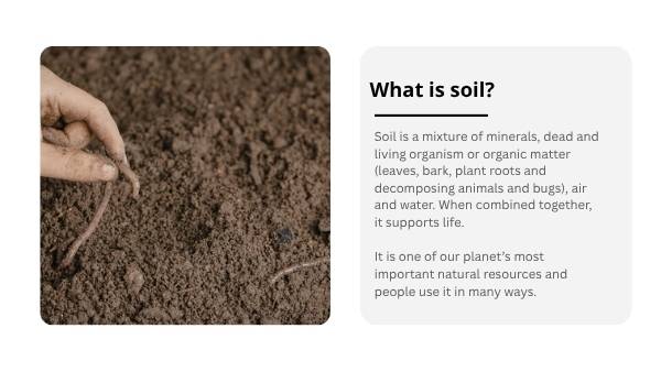 Soil Our Survival Depends On It Presentation — slide 6