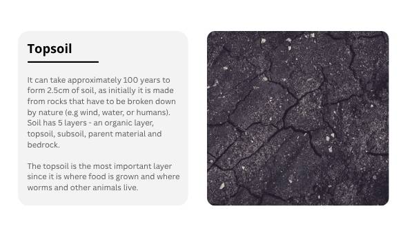 Soil Our Survival Depends On It Presentation — slide 8