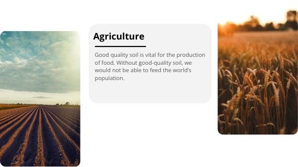 Soil Our Survival Depends On It Presentation — slide 9