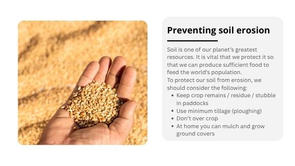 Soil Our Survival Depends On It Presentation — slide 10