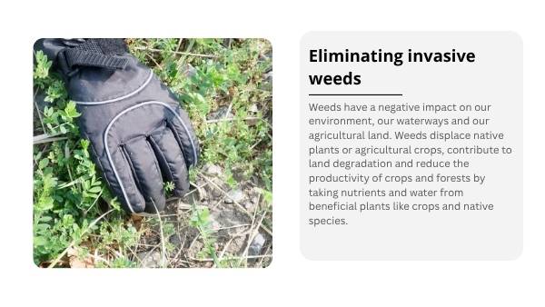 Soil Our Survival Depends On It Presentation — slide 11