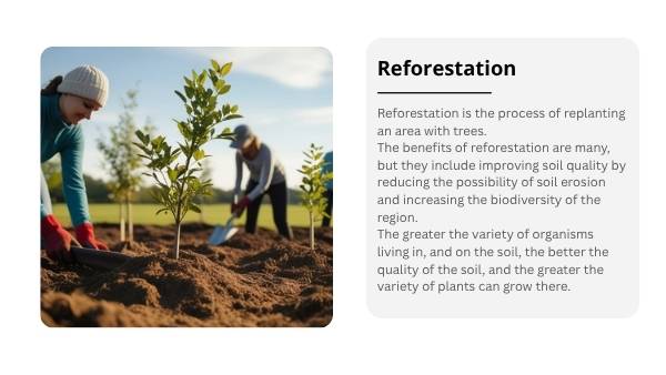 Soil Our Survival Depends On It Presentation — slide 12