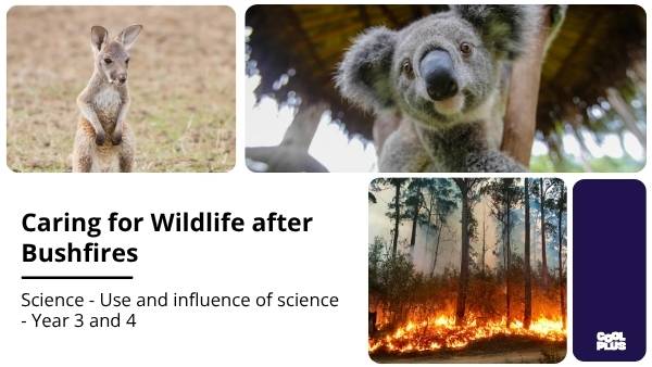 Caring for Wildlife after Bushfires Education Presentation — slide 1
