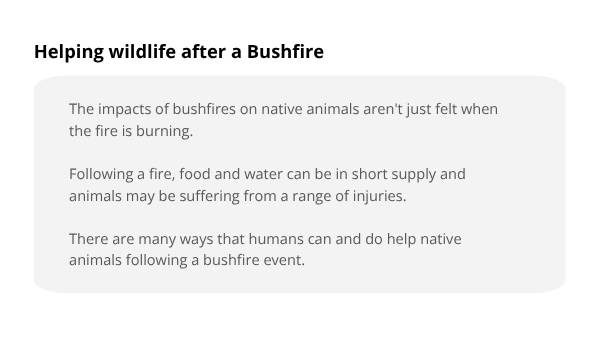 Caring for Wildlife after Bushfires Education Presentation — slide 3