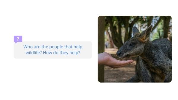 Caring for Wildlife after Bushfires Education Presentation — slide 5