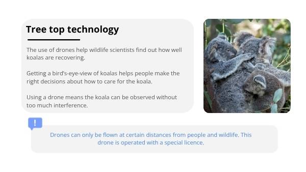 Caring for Wildlife after Bushfires Education Presentation — slide 11