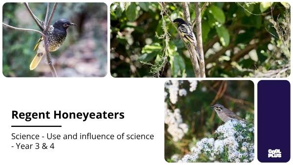 Ensuring the Survival of Regent Honeyeaters Education Presentation — slide 1
