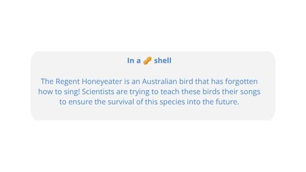 Ensuring the Survival of Regent Honeyeaters Education Presentation — slide 3