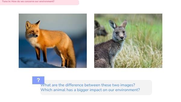 Food Chains and Habitats Education Presentation — slide 6