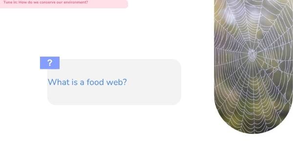Food Chains and Habitats Education Presentation — slide 8