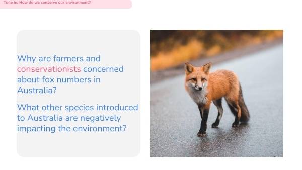 Food Chains and Habitats Education Presentation — slide 10