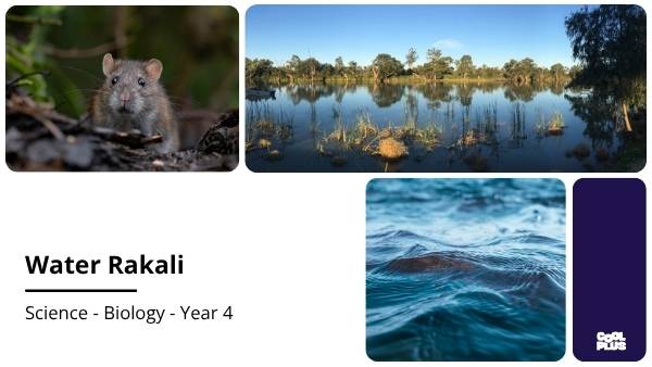 Water Rakali Education Presentation — slide 1