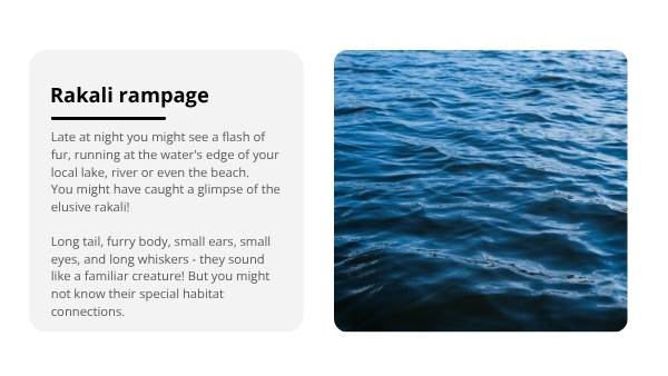 Water Rakali Education Presentation — slide 3