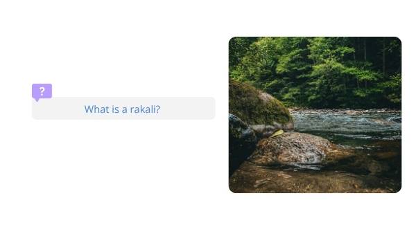 Water Rakali Education Presentation — slide 4