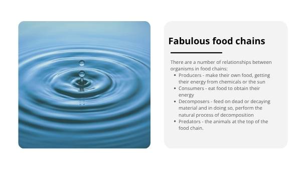 Water Rakali Education Presentation — slide 8