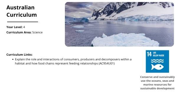 Sub-Antarctic Food Chains Education Presentation — slide 2