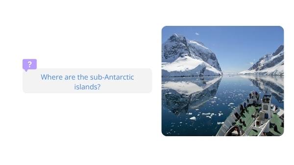 Sub-Antarctic Food Chains Education Presentation — slide 3